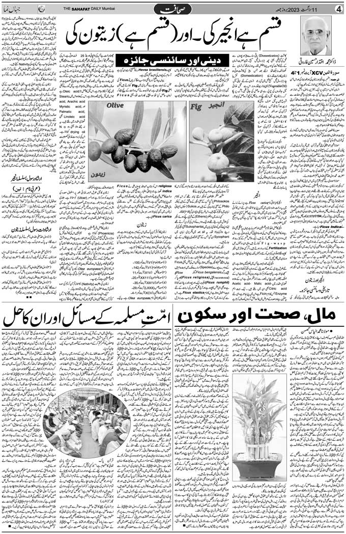 The Sahafat Mumbai, Urdu Newspaper India, Indian Newspapers, Urdu Akhbar, Urdu News Hindustan